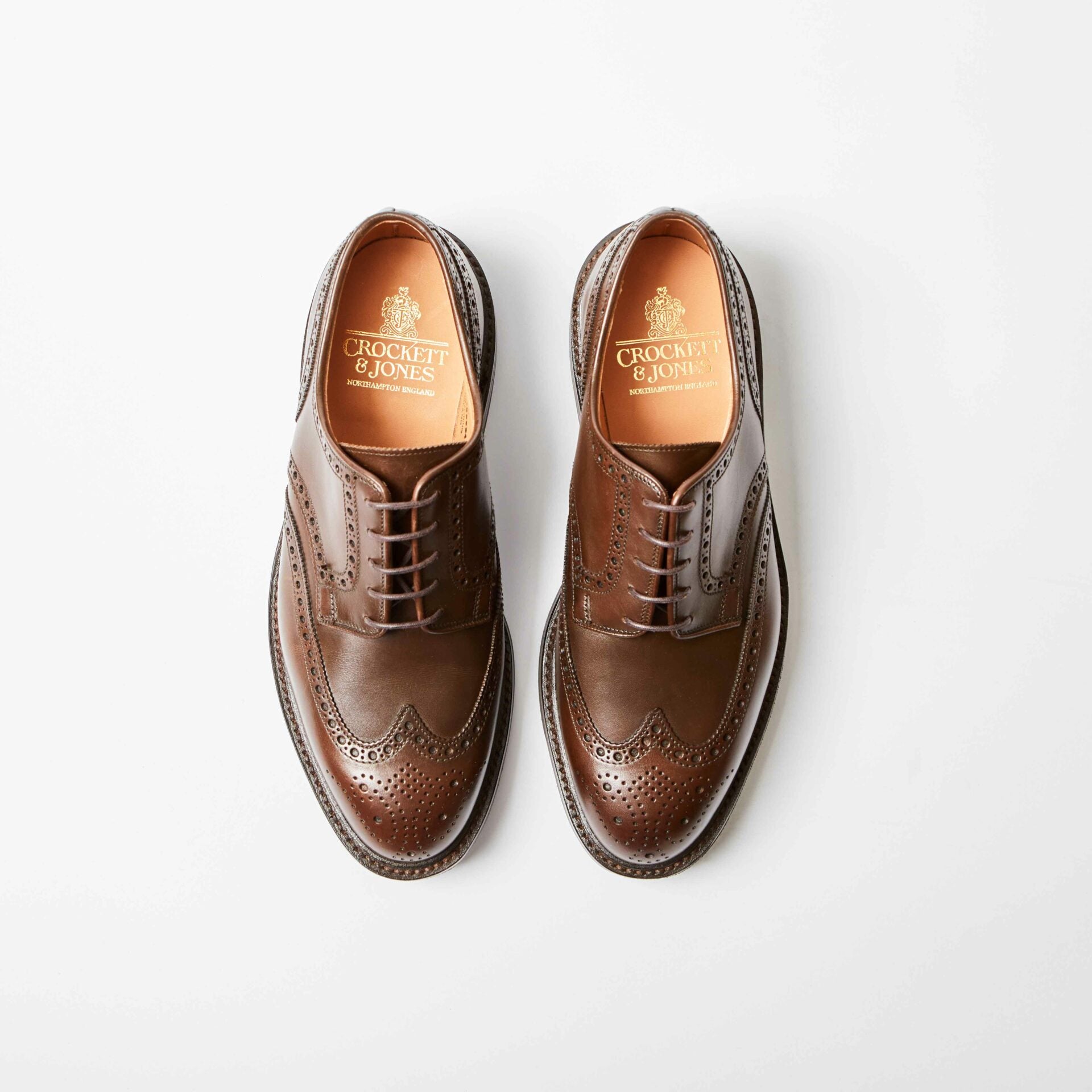 Pembroke Dark Brown Wax Calf Derby Brogue